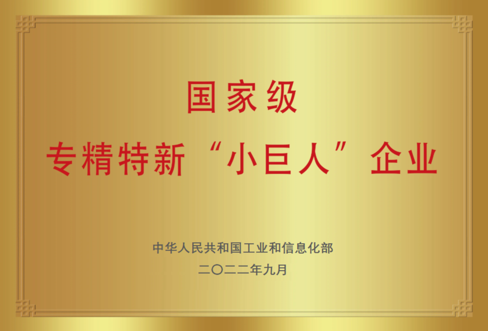 國(guó)家級(jí)專精特新小巨人企業(yè)